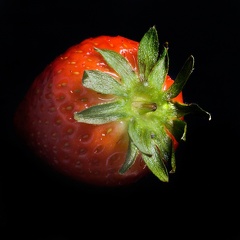Apr 07 - Strawberry