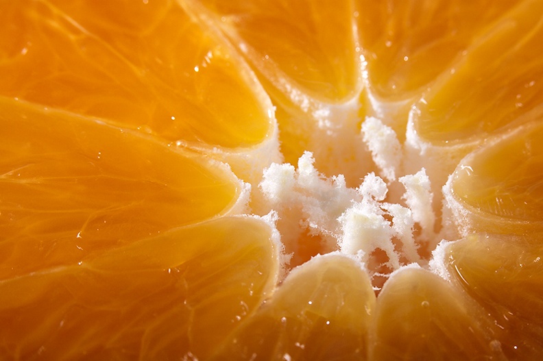 Closeup of an orange.