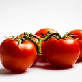 Oct 13 - Tomatoes