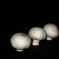 Nov 14 - 3 Mushrooms.jpg