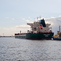 2010