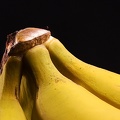 Jan 10 - Bananas