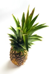 Mar 07 - Pineapple