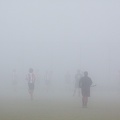 Nov 20 - Foggy play.jpg