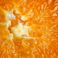 Dec 28 - Orange.jpg