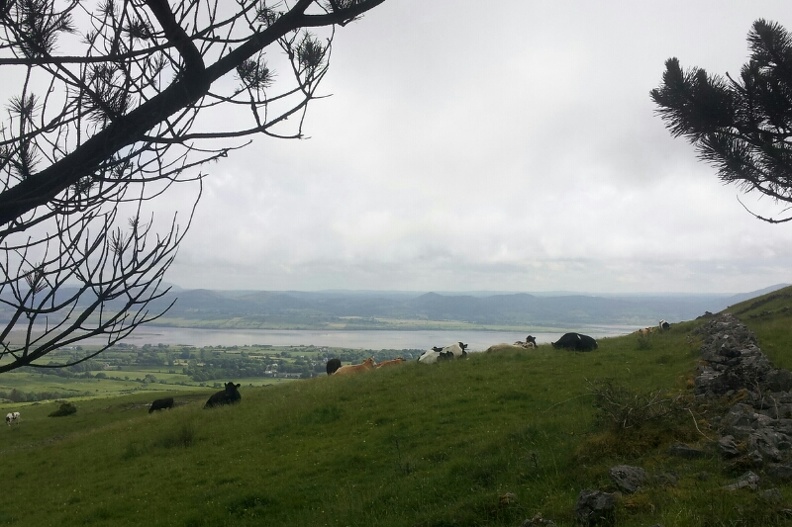 View from Knocknarea Hill, which has a cairn on top and also a cloud today.