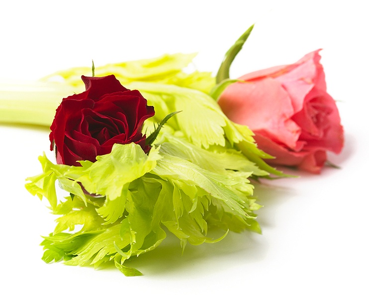 Just some things that were in the kitchen after dinner. Celery and roses. And no, we don't eat roses :)