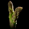 Feb 17 - Asparagus