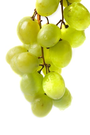 Jul 28 - Grapes
