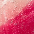 Aug 29 - Bubbles