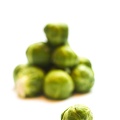 Oct 23 - Sprouts.jpg