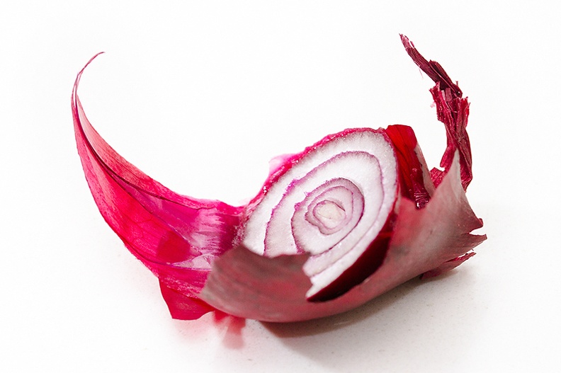 A cheering part of a red onion.