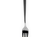 Feb 10 - Used fork