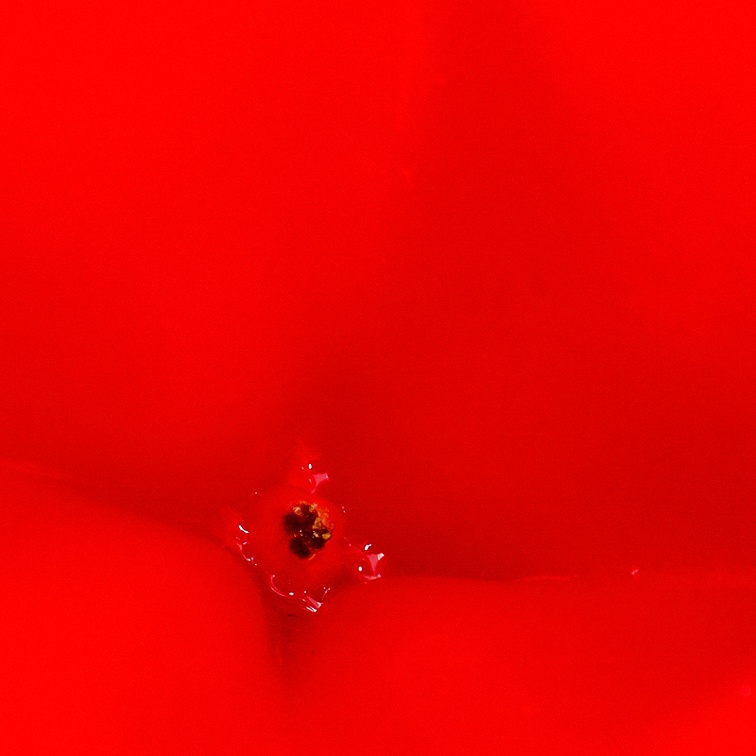 Feb 16 - Red