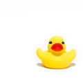 May 16 - Ducky