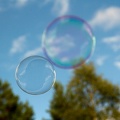 Aug 14 - Bubbles