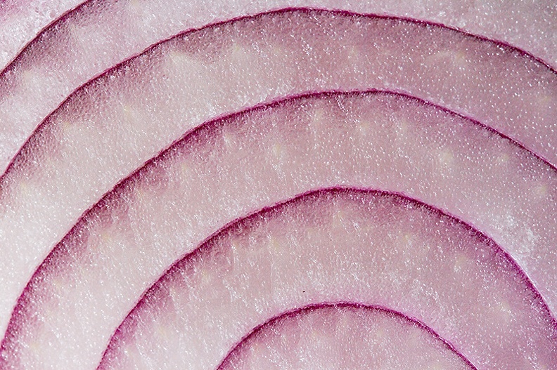 A slice of a red onion
