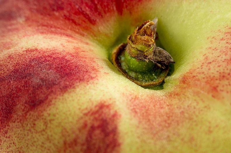 Detail of a saturn peach