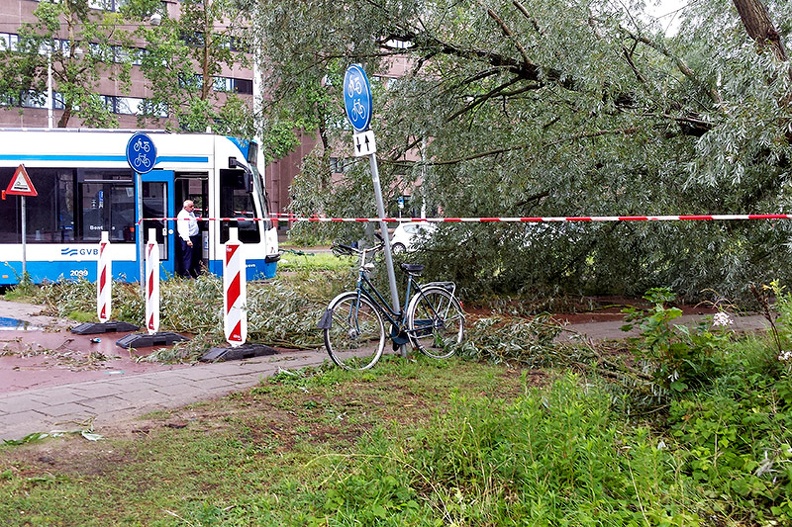 The tram had to wait this afternoon for a fallen tree. Probably a late result of Saturday's storm.