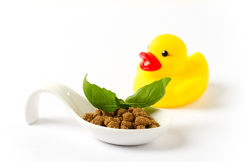 World animal day! My cats were too stubborn today, so just an improvisation. Cat food, basil and a ducky ;)
