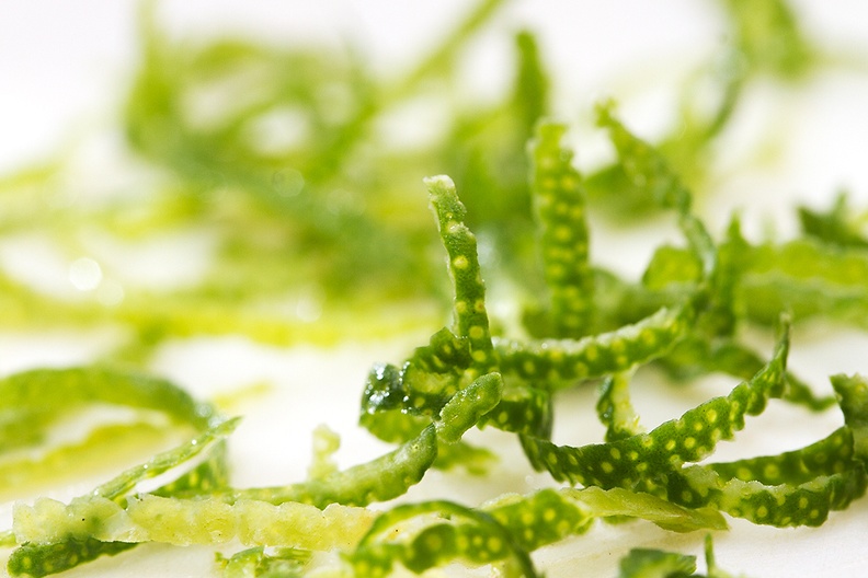 Detail of lime zest, ingredient for a soup.
