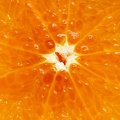 Jul 04 - Orange