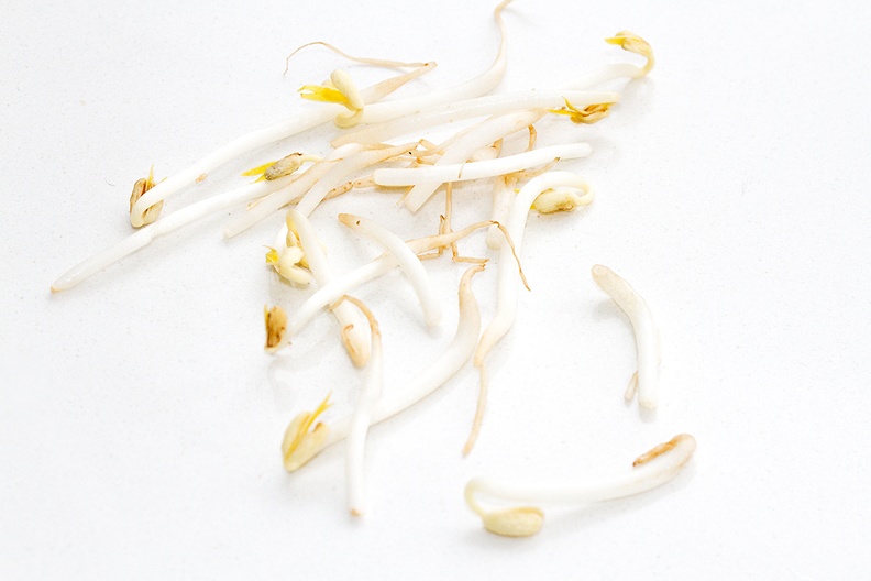 Jul 08 - Bean sprouts