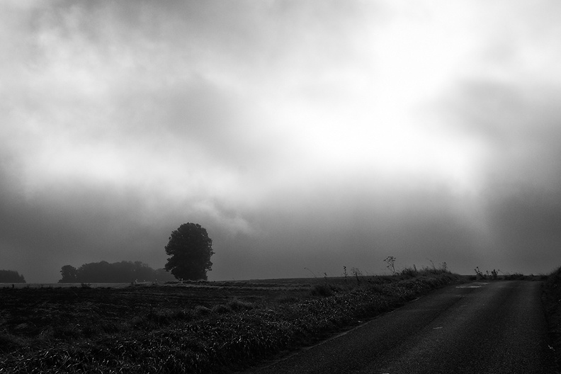 This morning along the road from nowhere to nowhere.