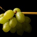 Oct 14 - Grapes.jpg