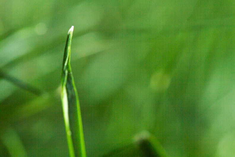 No internet connection at home, so just looking at the speed of growing grass in my garden ;)