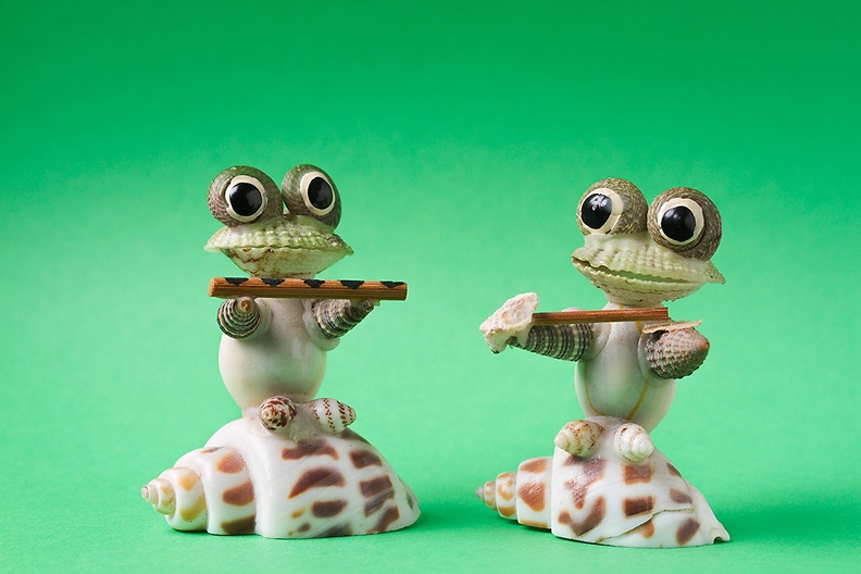 Two old frogs