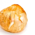 Mar 18 - No onion.jpg