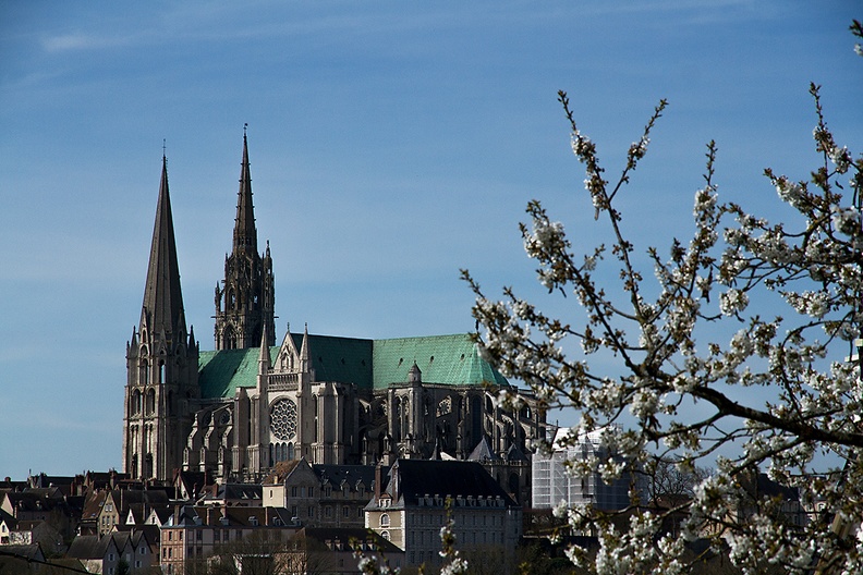 A view on the cathedral in Chartres