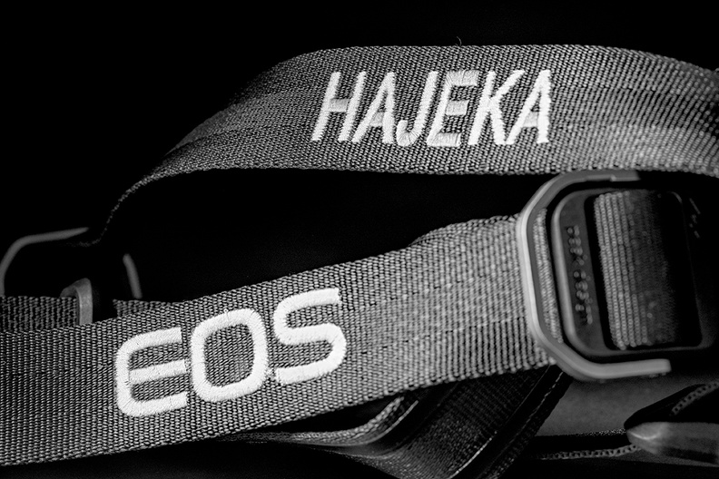 New camera strap. Free gift when I bought a new camera some months ago.
