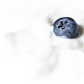 Sep 10 - Blueberry