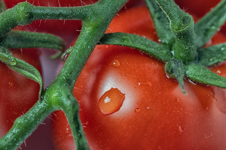 Detail of a tomato