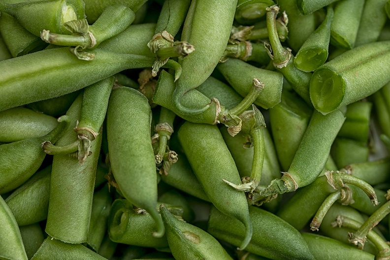 Not used parts of green beans