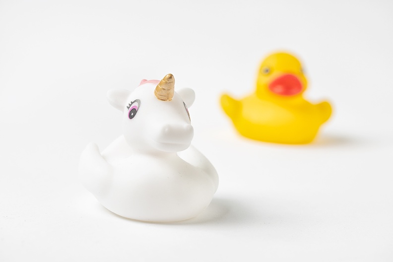 A unicorn and a ducky :)