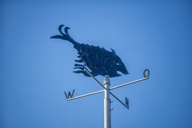 Weather vane on the (vacation) house