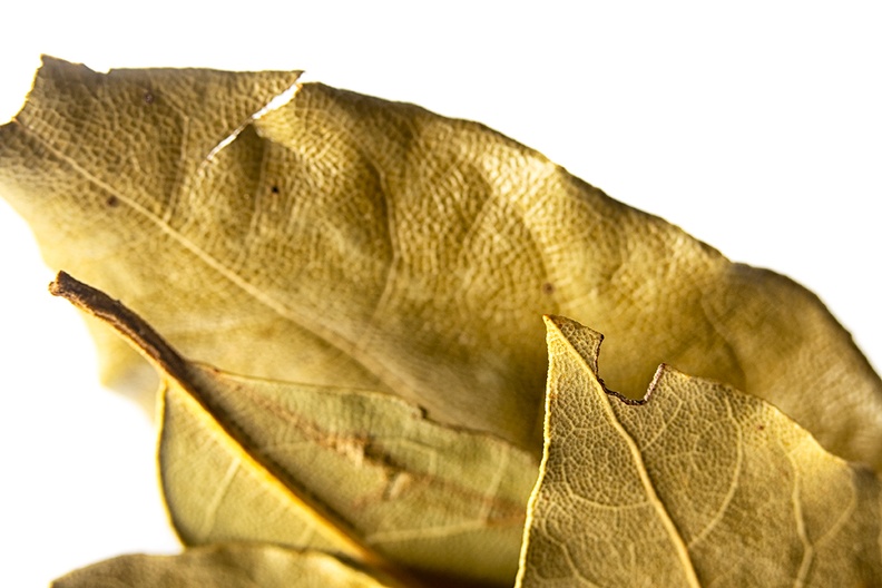 Dried laurel leaves