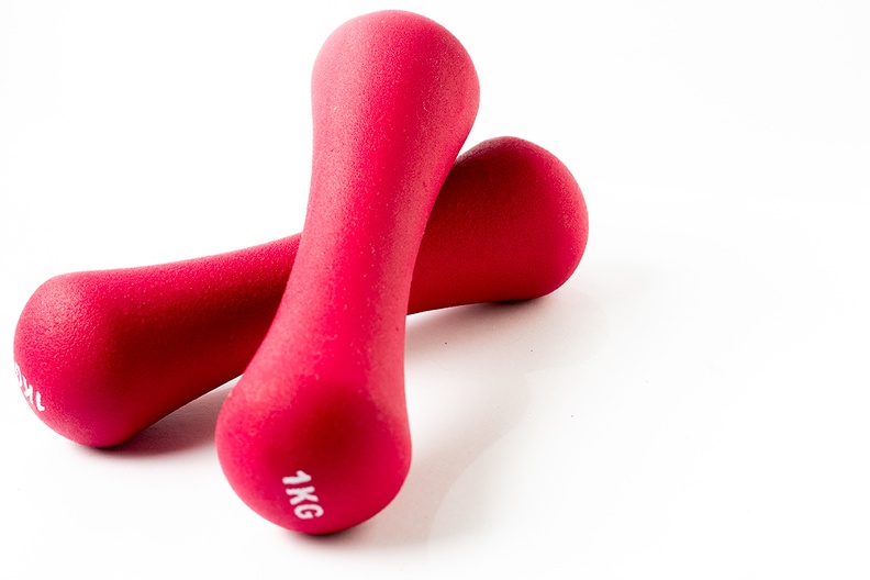 Pink weights, although they look like bones to me