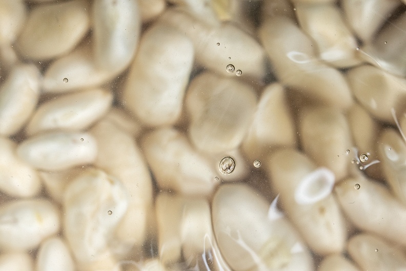 Soaking white beans for a cassoulet