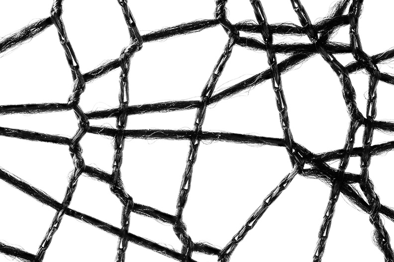 Detail of a net