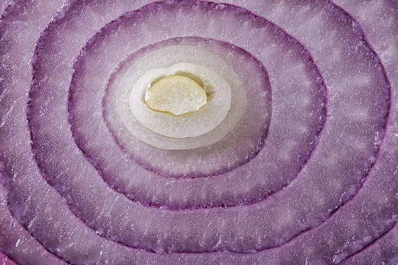 Part of a red onion