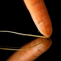 Apr 11 - Carrot