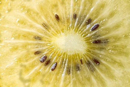Jul 29 - Yellow kiwi