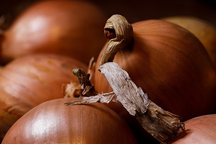 Dec 08 - Onions