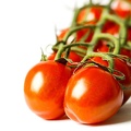 Dec 30 - Tomatoes