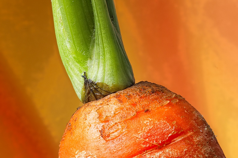 Detail of a carrot