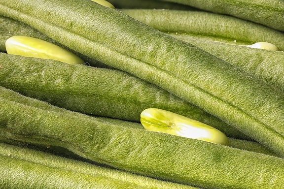 May 29 - Green beans